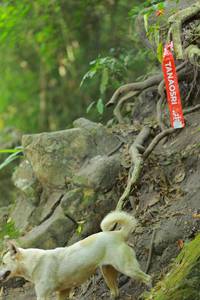 BIB: 
                            <button type="button" onclick="openModal(19487590)" class="btn btn-primary btn-sm float-right btn-popup" data-toggle="modal" data-target=".modal-high-quality">
                        <i class="fas fa-shopping-cart"></i> Add to Cart
                    </button>
                                            <button type="button" onclick="isThisMe(19487590, true)" class="btn btn-success btn-sm float-right btn-popup btn-isme hidden" data-toggle="tooltip" data-placement="bottom" title="นี่คือรูปของคุณใช่ไหม คลิกที่นี่เพื่อเอาเข้าอัลบั้ม">
                        <i class="fas fa-plus"></i> Add to album
                    </button>
                    <button type="button" onclick="isThisMe(19487590, false)" class="btn btn-warning btn-sm float-right btn-popup btn-isnotme hidden">
                        <i class="fas fa-ban"></i> Remove from album
                    </button>